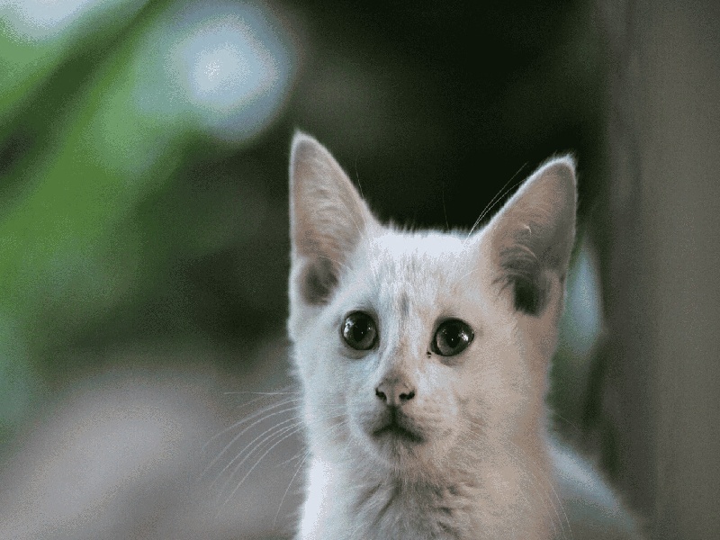 试管不能侧躺（昆明秋秋试管之家）