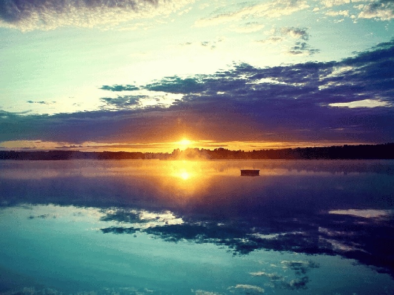 试管移植贝依（试管失败准备离婚）